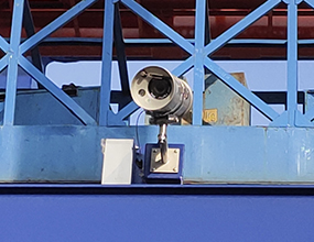 ����С��̲������̥��